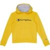 Champion Kids Script Fleece Hoodie (Big Kids) -Madewell Store 611WKubIPAL. AC SR736920