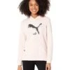 PUMA Power Logo Hoodie Fleece -Madewell Store 710A4MY87DL. AC SR736920