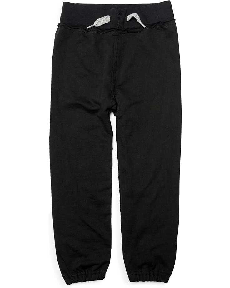 Appaman Kids Terry Gym Sweats (Toddler/Little Kids/Big Kids) 3 Appaman Kids Terry Gym Sweats (Toddler/Little Kids/Big Kids)