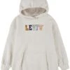 Levi's® Kids Oversized Graphic Pullover Hoodie (Big Kids) 2 Levi's® Kids Oversized Graphic Pullover Hoodie (Big Kids) -Madewell Store 71wfLtt 1nL. AC SR736920
