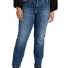 Jag Jeans Plus Size Stella 30" High-Rise Straight Leg Jeans 2 Jag Jeans Plus Size Stella 30" High-Rise Straight Leg Jeans -Madewell Store 91rYEBMBNML. AC SR736920